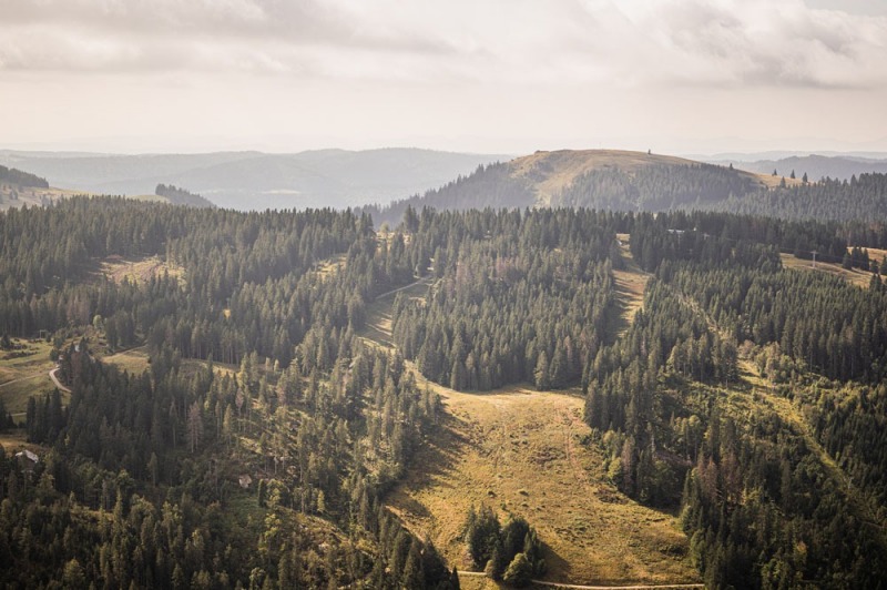 Feldbergturm Schwarzwald Aussicht
